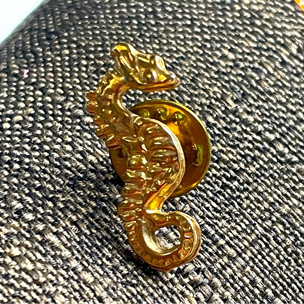 ⭐️FREE WITH PURCHASE⭐️ Seahorse Pin